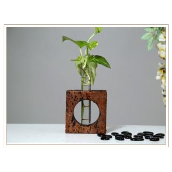 Contemporary Cork Hydroponic Plant Holder with Geometric Cutout Design and Glass Insert for Modern Indoor Gardening