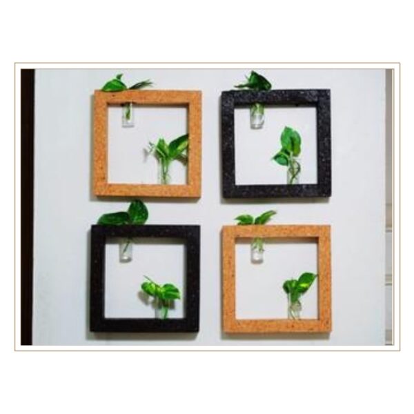 Set of Four Cork Wall-Mounted Hydroponic Picture Frames with Glass Tube Inserts for Creative Living Plant Art and Interior Design