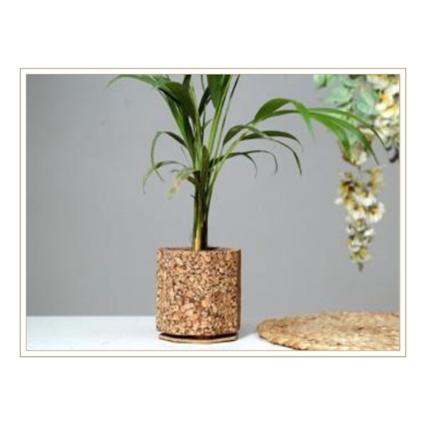 Premium Natural Cork Cylindrical Plant Pot with Coordinating Saucer for Complete Plant Care Solution and Sophisticated Indoor Gardening