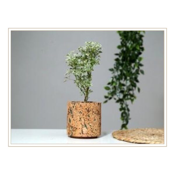 Artisan Cork Cylindrical Planter with Rich Textural Grain Pattern and Matching Base for Natural Indoor Plant Styling