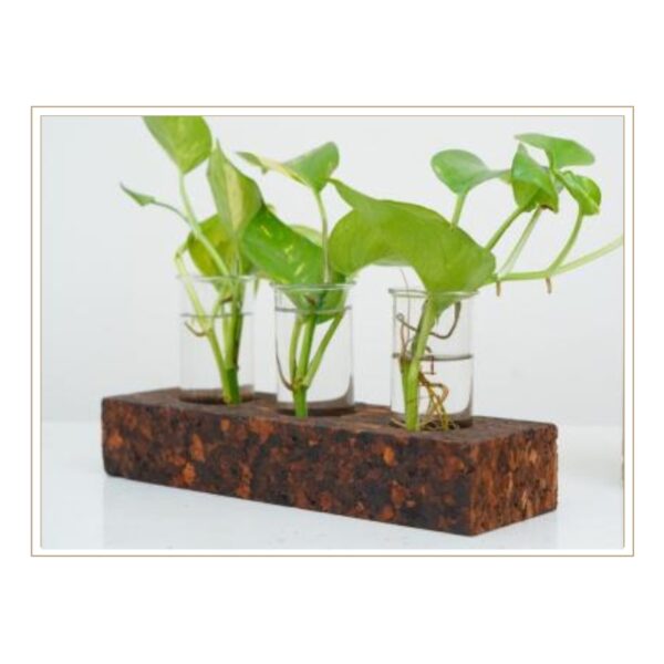 Artisan Cork Multi-Plant Hydroponic Holder with Unique Textured Pattern and Integrated Glass Tube System for Creative Plant Display