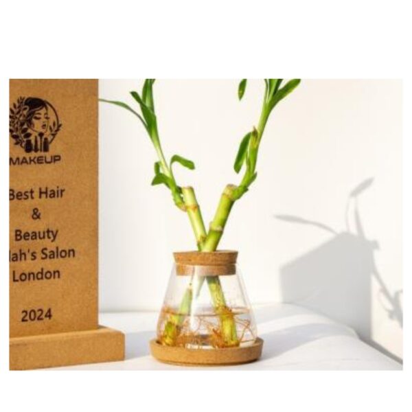 Elegant Cork and Glass Hydroponic Vase with Conical Shape and Natural Cork Accent Bands for Sophisticated Plant Cultivation