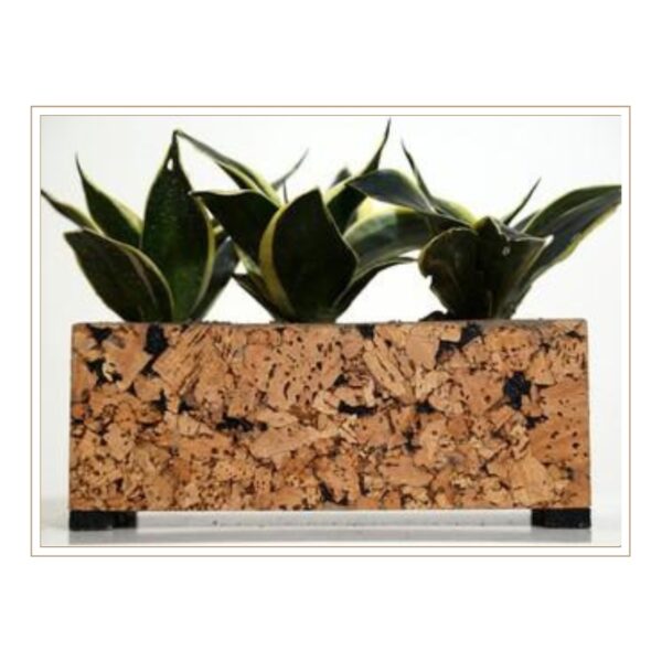 Sustainable Cork Rectangular Planter Box with Rich Natural Texture for Creating Stunning Multiple Plant Displays and Modern Indoor Gardens