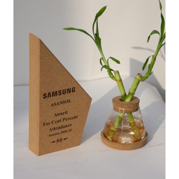 Samsung Asansol Cent Percent Attendance Award