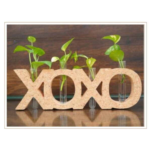 Decorative "XOXO" Cork Letter Plant Holders with Hidden Glass Tubes for Personalized Hydroponic Display and Gift Giving