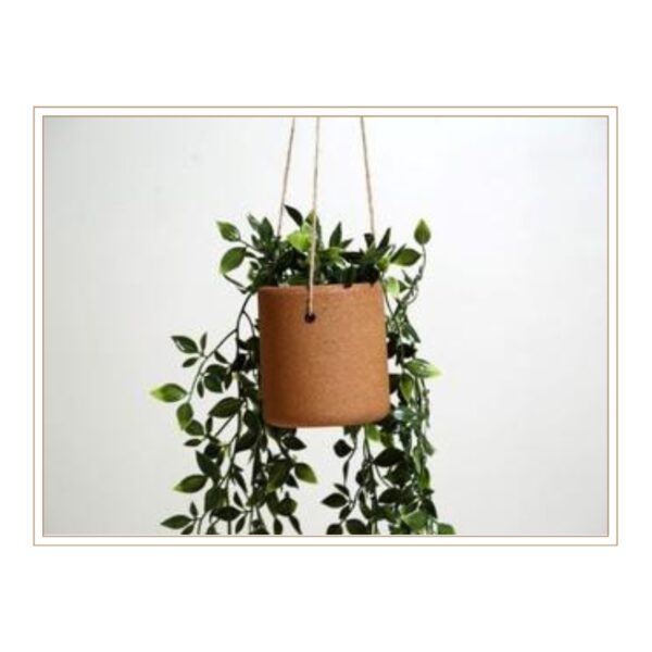 Sustainable Cork Hanging Planter with Natural Rope Suspension System for Beautiful Trailing Plant Display and Space-Efficient Indoor Gardening