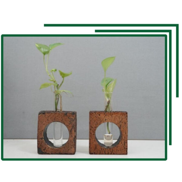 Minimalist Double Square Cork Planter Set With Glass Tubes For Fresh Green Decor In Stylish Homes Or Offices