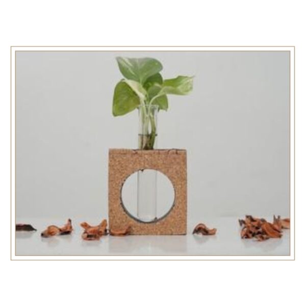 Contemporary Cork Hydroponic Plant Holder with Geometric Circular Window Design for Stylish Indoor Plant Cultivation and Root Observation