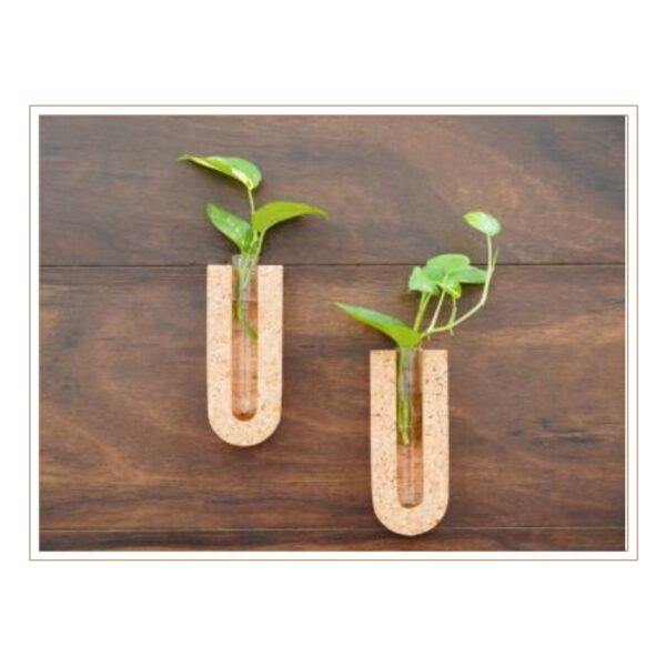 Set of Modern U-Shaped Cork Plant Stands with Glass Tube Inserts for Contemporary Hydroponic Plant Display and Propagation