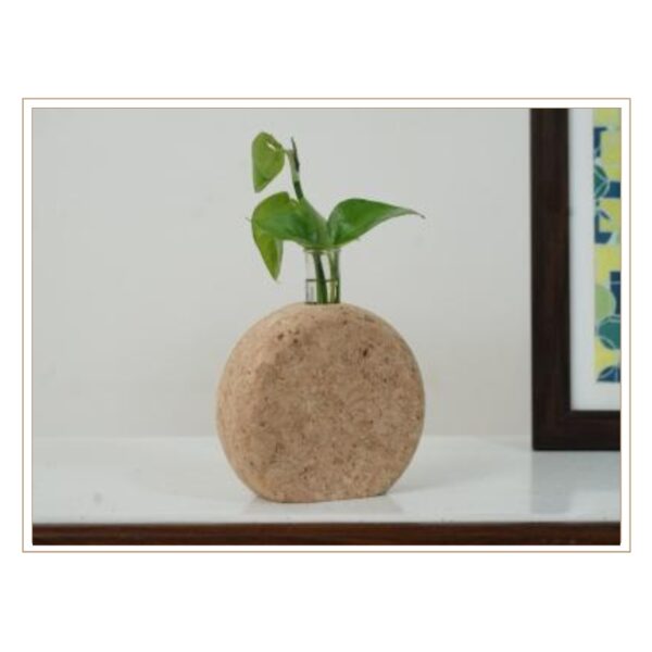 Rounded Cork Hydroponic Plant Vessel with Natural Organic Shape and Integrated Glass Tube for Sustainable Indoor Gardening
