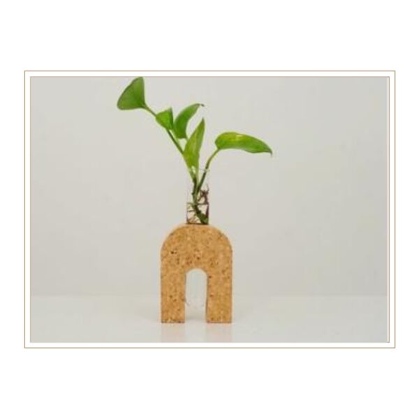 Architectural Cork Plant Stand with Elegant Arch Design and Hidden Glass Tube for Sophisticated Hydroponic Plant Cultivation
